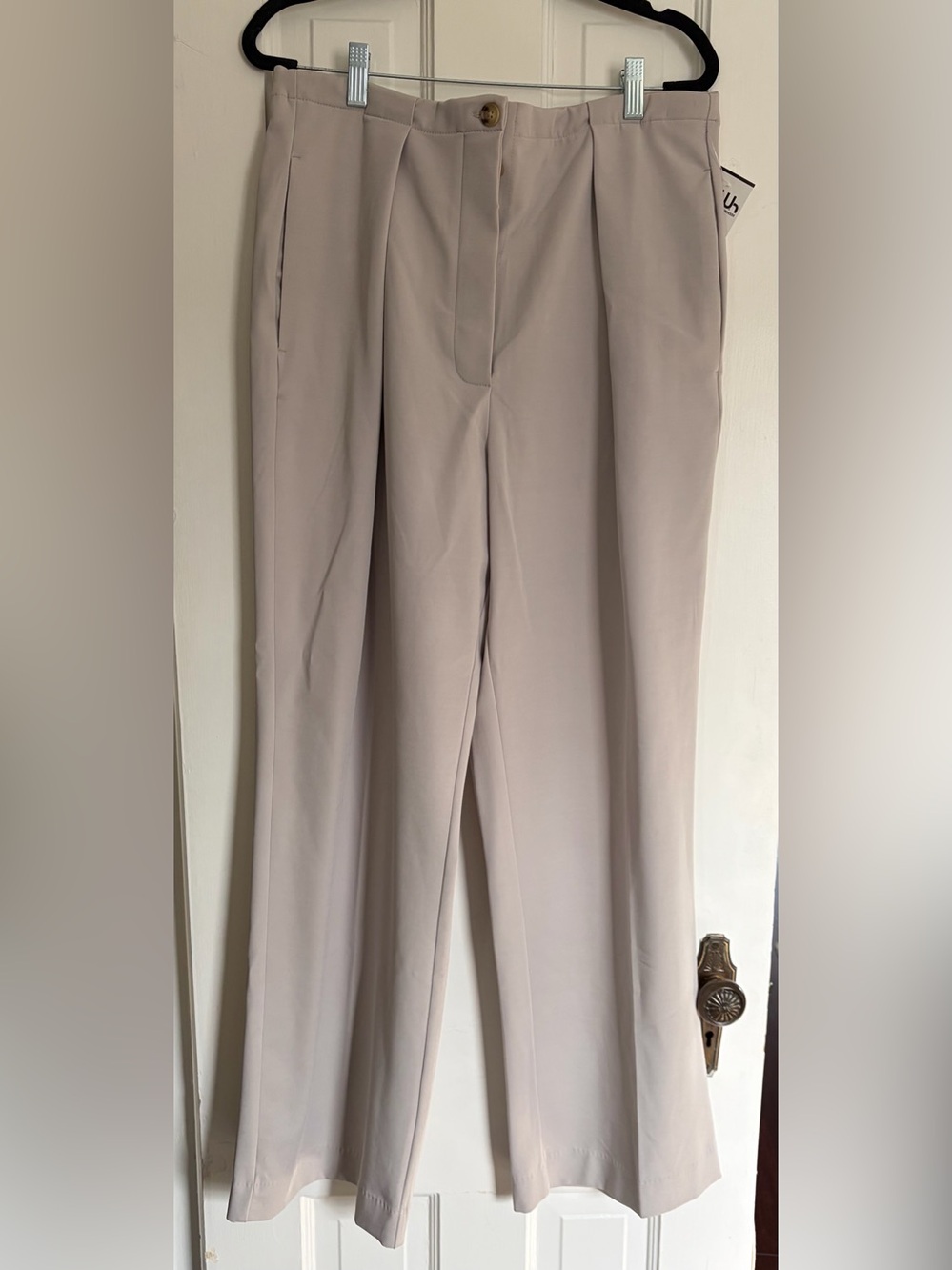 Free People Tailored High-Waist Wide-Leg Trousers in Light Taupe